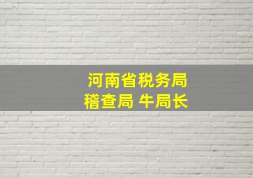 河南省税务局稽查局 牛局长